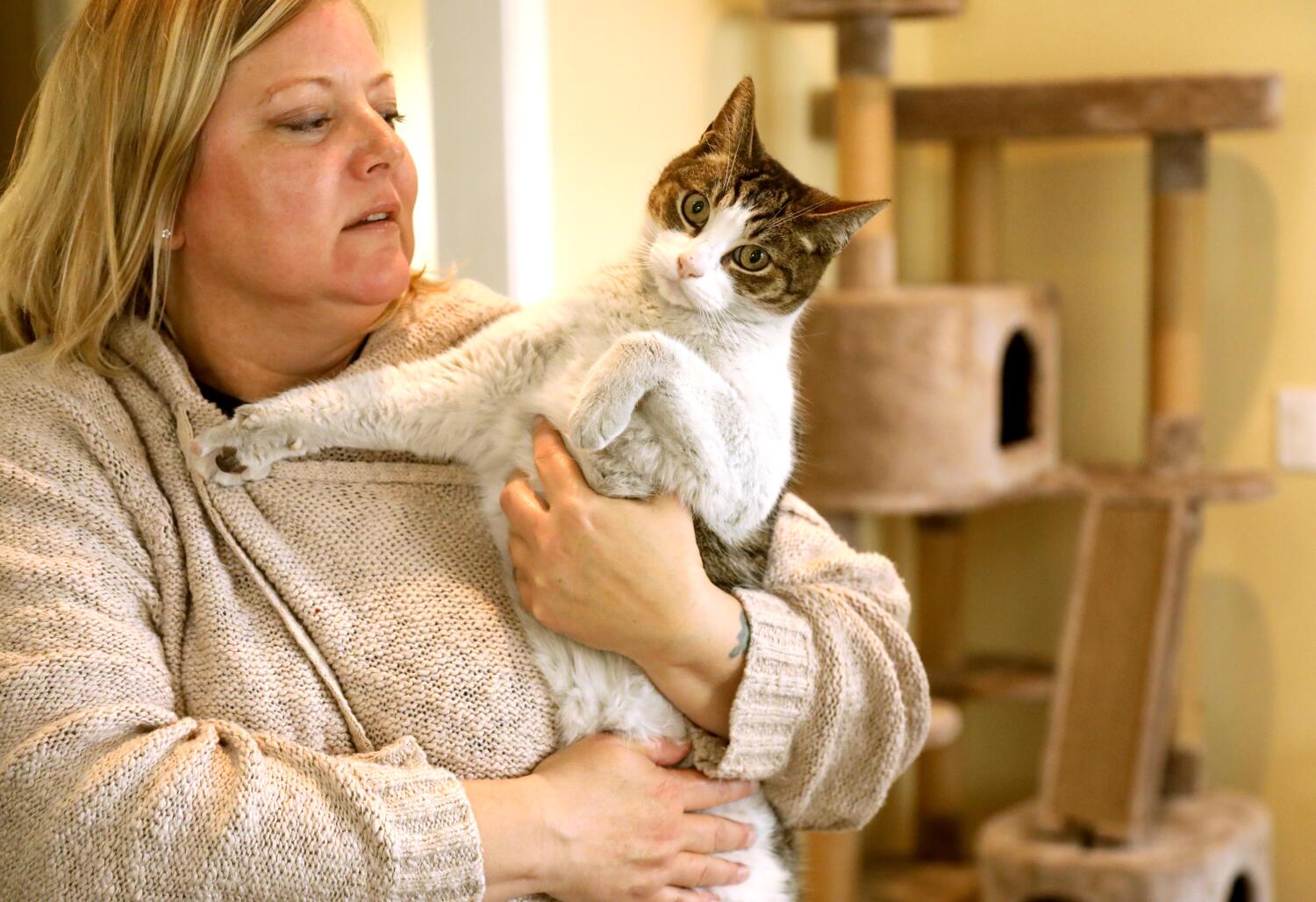 Column: Chickens, cats, dog