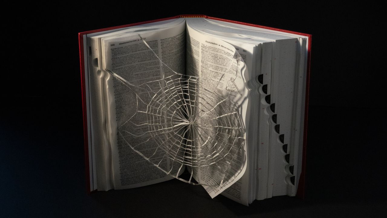 Dictionary open with web